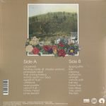 Brother Mynor ‎– Passionfruit Falls LP Plak - Görsel 2