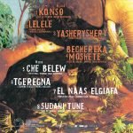 Imperial Tiger Orchestra ‎– Wax LP Plak - Görsel 2