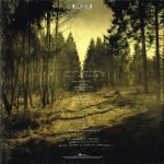 Steven Wilson ‎– Grace For Drowning 2 x LP Plak - Görsel 2