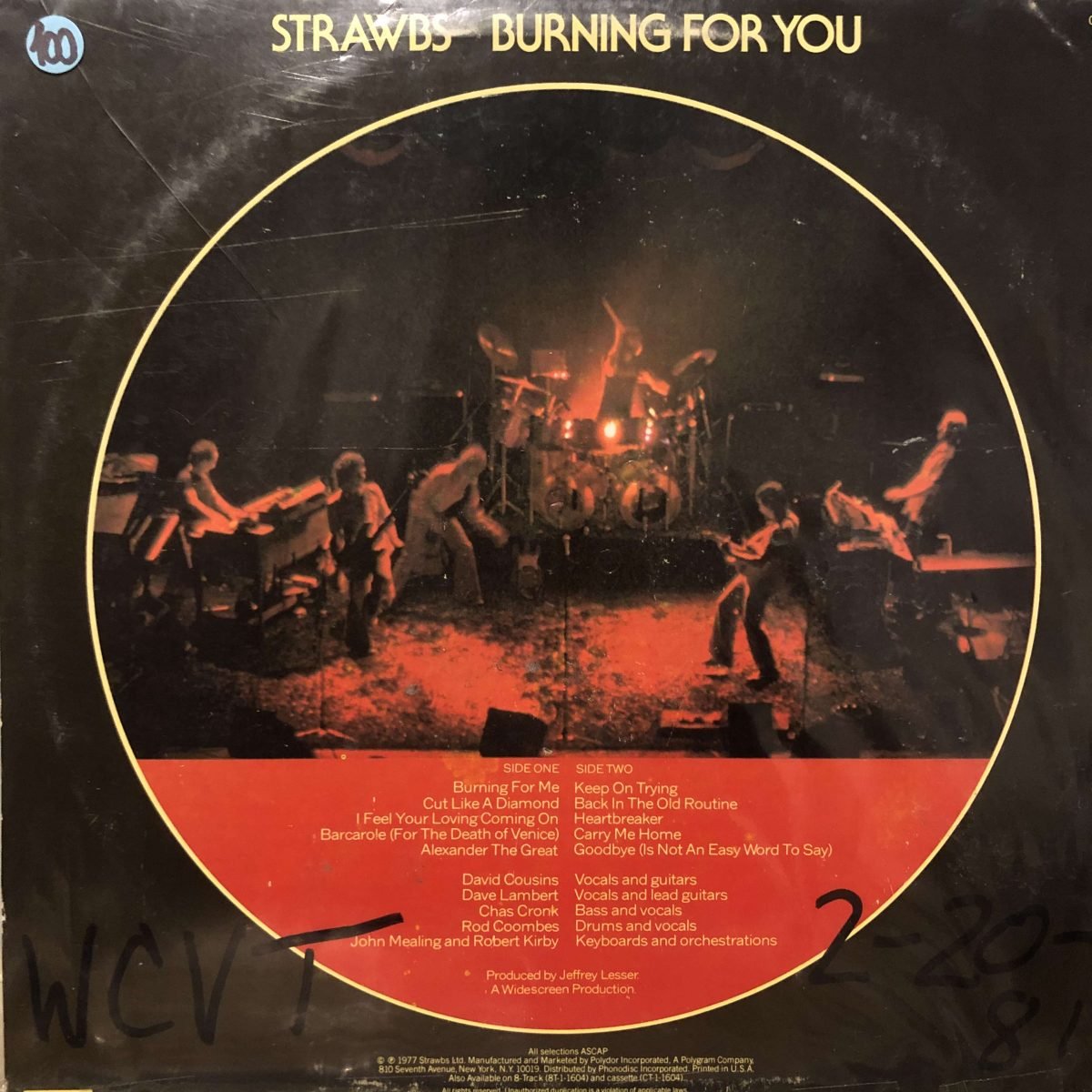 Strawbs - Burning For You LP Plak - Görsel 2
