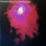 Porcupine Tree ‎– Up The Downstair LP Plak (İLK BASKI)