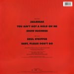 AC/DC '74 Jailbreak LP Plak - Görsel 2