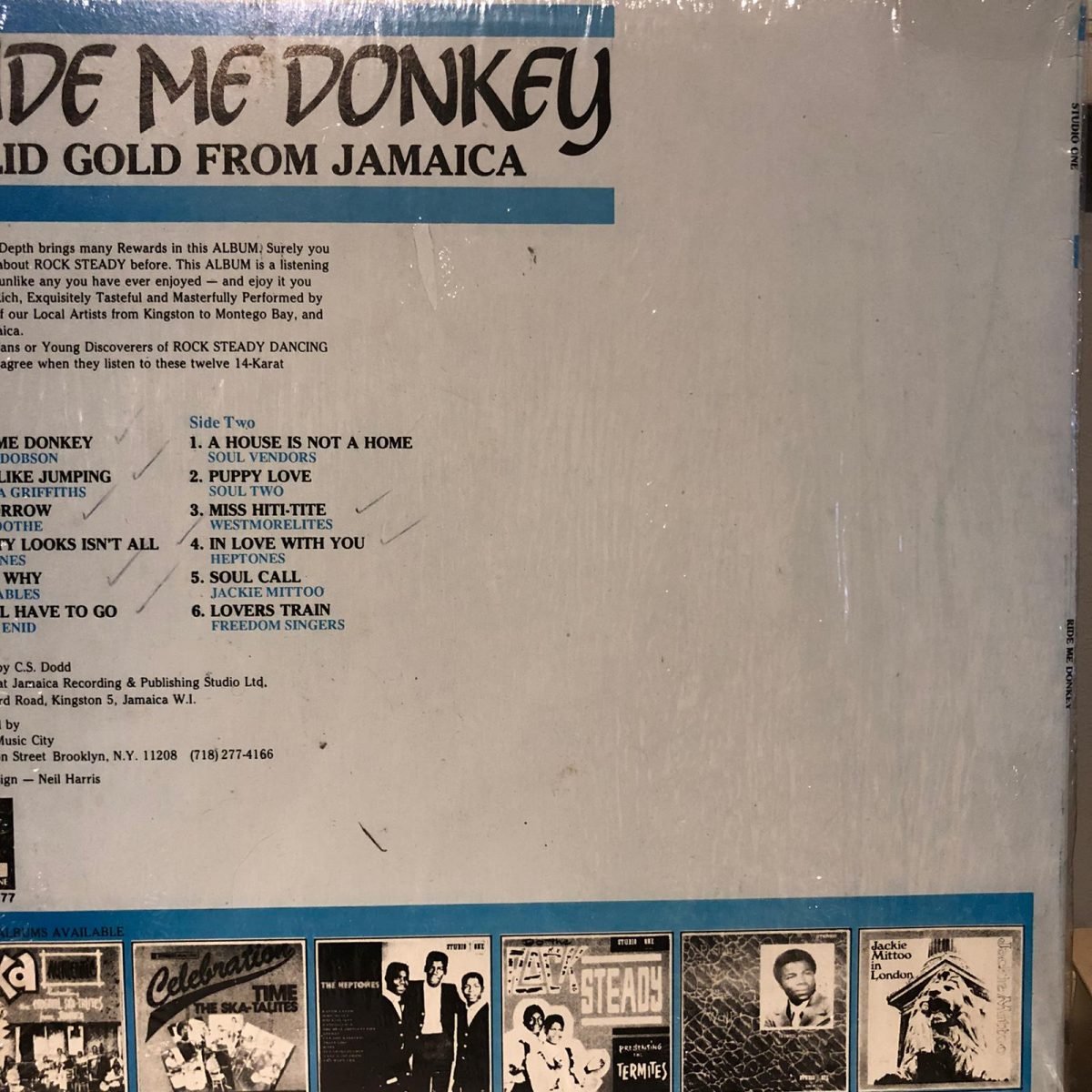 Ride Me Donkey LP Plak - Görsel 2