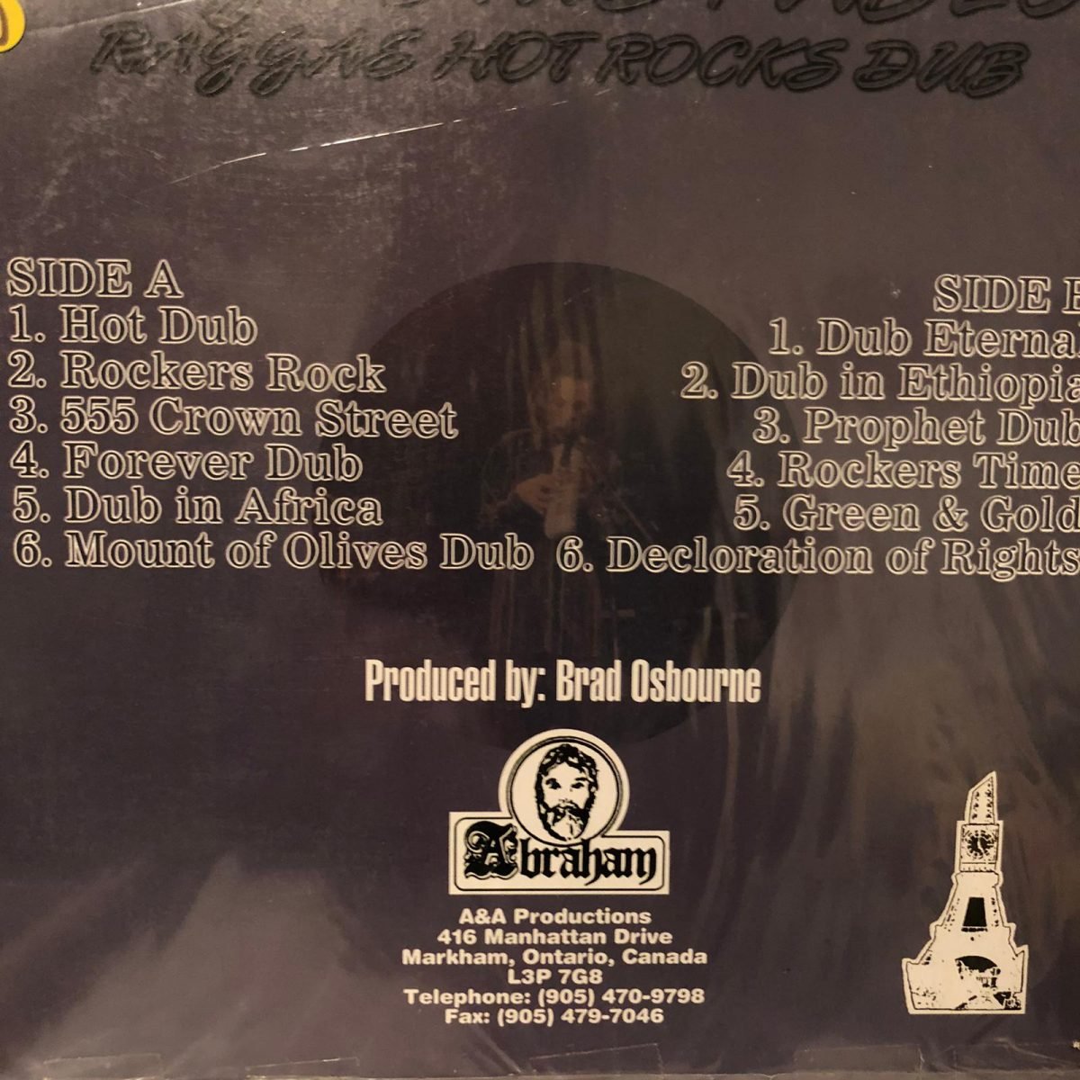 Augustus Pablo ‎- Raggae Hot Rocks Dub LP Plak - Görsel 2