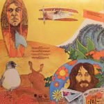 The Beach Boys Endless Summer Plak - Görsel 2