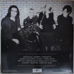 Yeah Yeah Yeahs Mosquito - Plak - Görsel 2