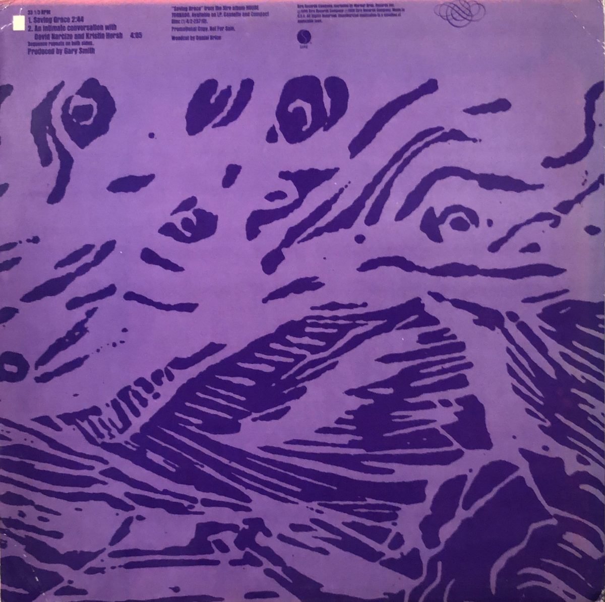 Throwing Muses ‎– Saving Grace 12'' Maxi Single Plak - Görsel 2