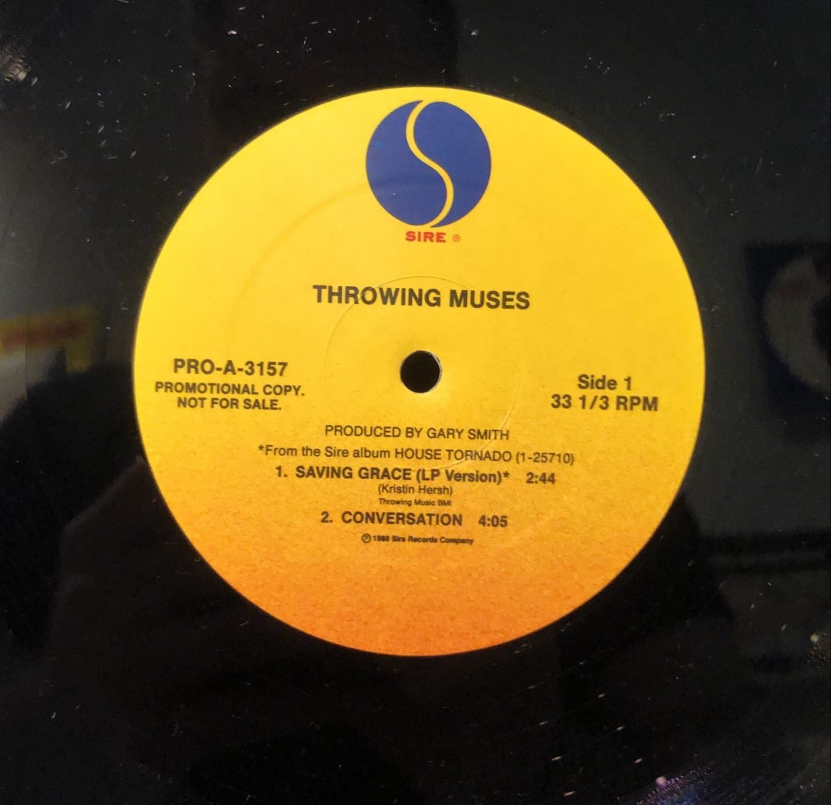 Throwing Muses ‎– Saving Grace 12'' Maxi Single Plak - Görsel 3