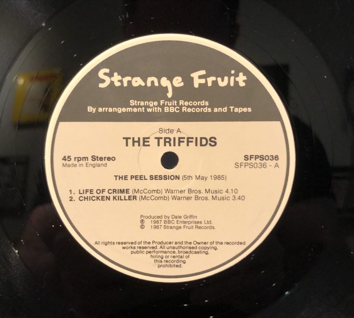 The Triffids ‎– The Peel Sessions 12” Maxi Single EP Plak - Görsel 3