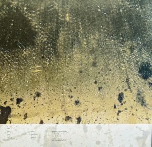 Ekin Fil - Coda LP Plak - Görsel 2