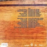 This Is Skateboard Music LP Plak - Görsel 3