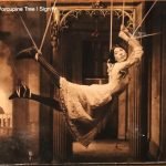 Porcupine Tree ‎– The Sky Moves Sideways - 2CD
