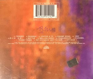 Blur ‎– 13 -  CD - Görsel 2