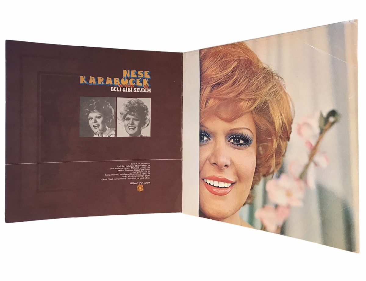 Neşe Karaböcek ‎– Deli Gibi Sevdim LP Plak - Görsel 3