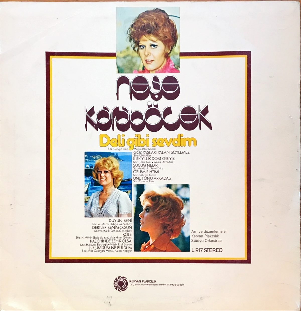 Neşe Karaböcek ‎– Deli Gibi Sevdim LP Plak - Görsel 2