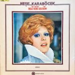 Neşe Karaböcek ‎– Deli Gibi Sevdim LP Plak