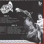 Bosporus Bridges 3 - A Wide Selection Of Turkish Funk And Jazz LP Plak - Görsel 2
