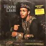 Wayne Davis ‎– A View From Another Place LP Plak