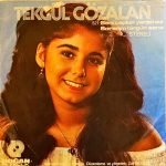 Tekgül Gözalan ‎– Seni Çapkın Yaramaz / Sorarım Birgün Sana 45'lik Plak