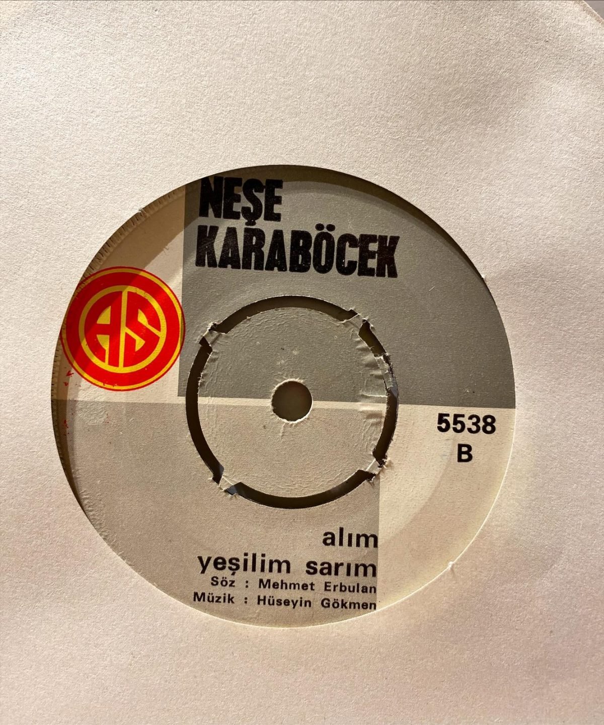 Neşe Karaböcek ‎– Mavi Dünyam Benim / Alım, Yeşilim, Sarım 45'lik Plak - Görsel 3