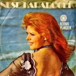 Neşe Karaböcek ‎– Dertler Benim Olsun / At Kadehi Elinden 45'lik Plak