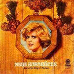 Neşe Karaböcek ‎– Batsın Bu Dünya / Perişan 45'lik Plak