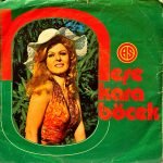 Neşe Karaböcek ‎– Koca Dünya / Atsan Atılmaz Satsan Satılmaz 45'lik Plak