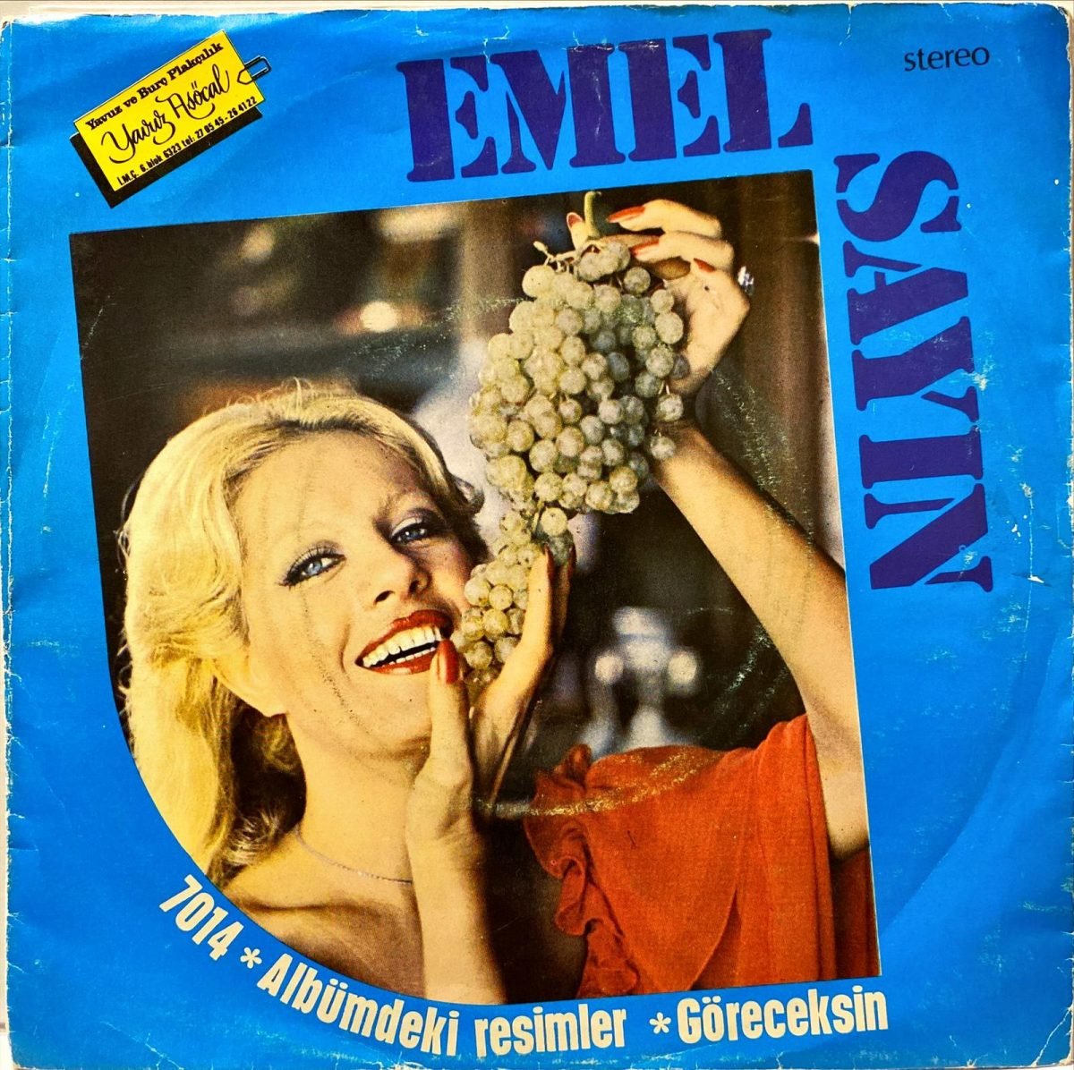 Emel Sayın ‎– Albümdeki Resimler / Göreceksin 45'lik Plak - Görsel 2