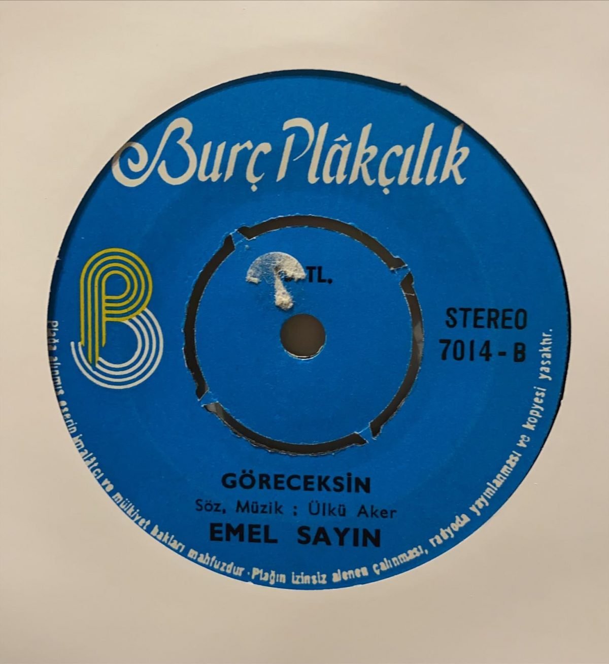 Emel Sayın ‎– Albümdeki Resimler / Göreceksin 45'lik Plak - Görsel 4