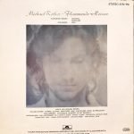 Michael Rother ‎– Flammende Herzen LP Plak - Görsel 2