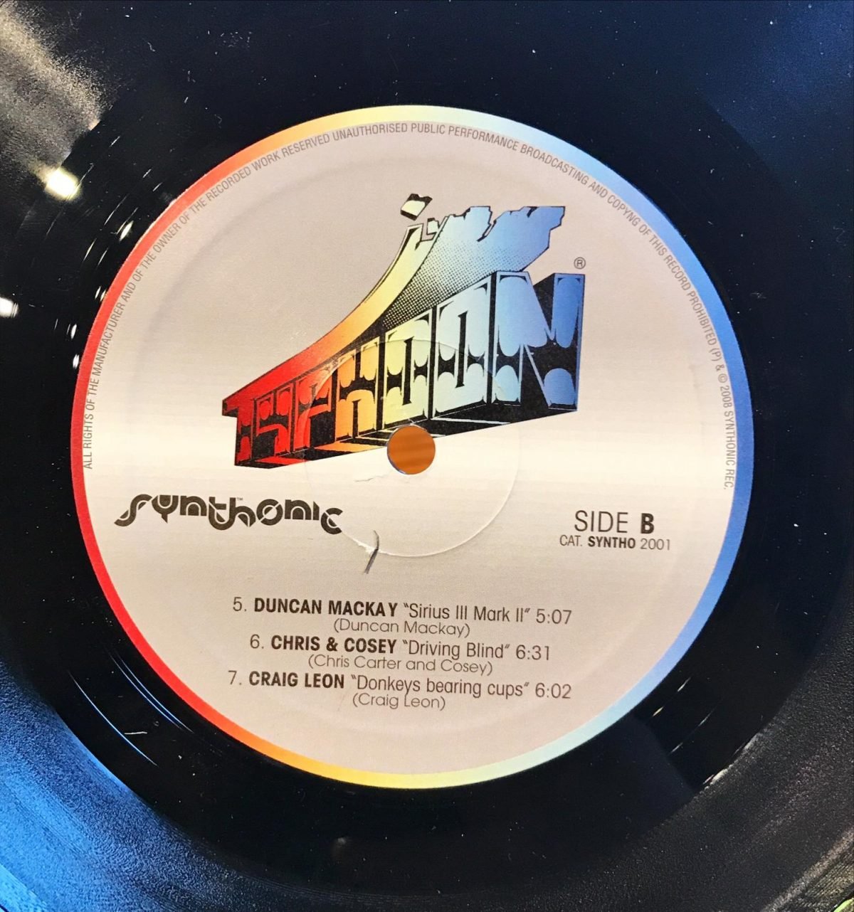 Typhoon - Portrait Of The Electronic Years 2xLP Plak - Görsel 3