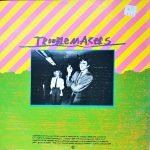 Troublemakers - Punk & Post Punk Compilation 2LP Plak - Görsel 2