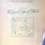 Stevie Wonder ‎– Journey Through The Secret Life Of Plants - 2LP Plak