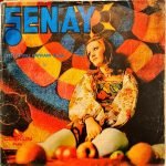 Şenay ‎– Hayat Bayram Olsa 45'lik Plak