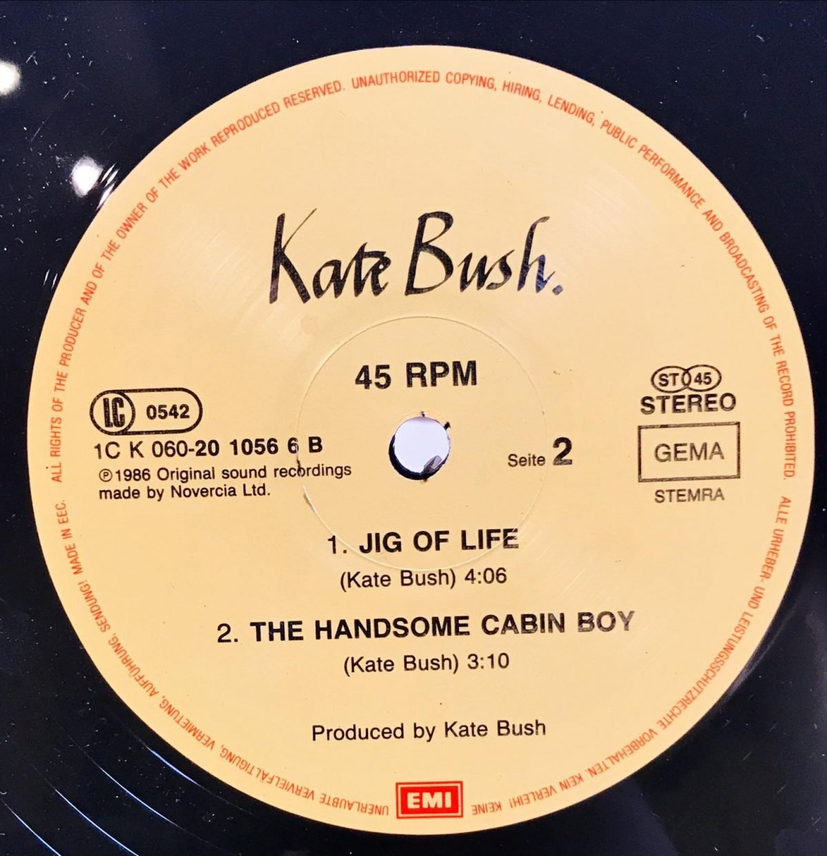 Kate Bush ‎– Hounds Of Love Maxi Single Plak - Görsel 3