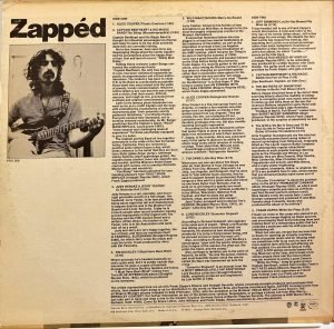 Zapped - LP Plak - Görsel 2