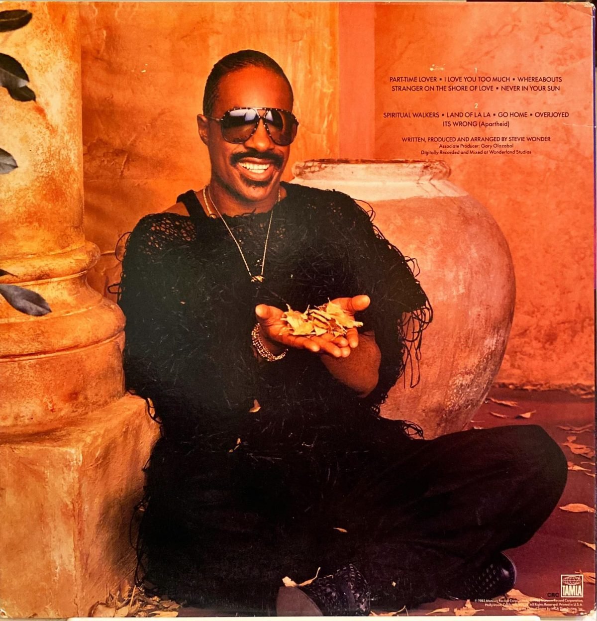 Stevie Wonder ‎– In Square Circle LP Plak - Görsel 2
