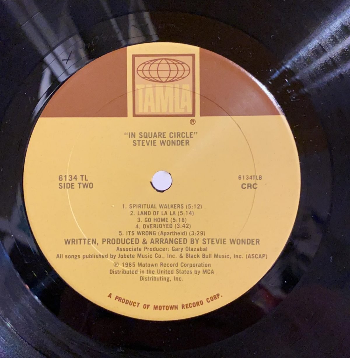 Stevie Wonder ‎– In Square Circle LP Plak - Görsel 3