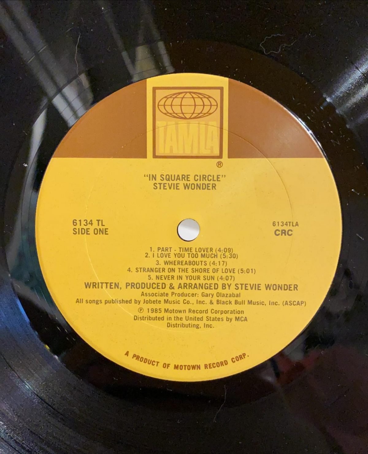 Stevie Wonder ‎– In Square Circle LP Plak - Görsel 4