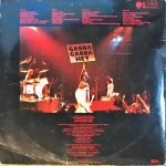 Ramones ‎– It's Alive - 2LP Plak - Görsel 3