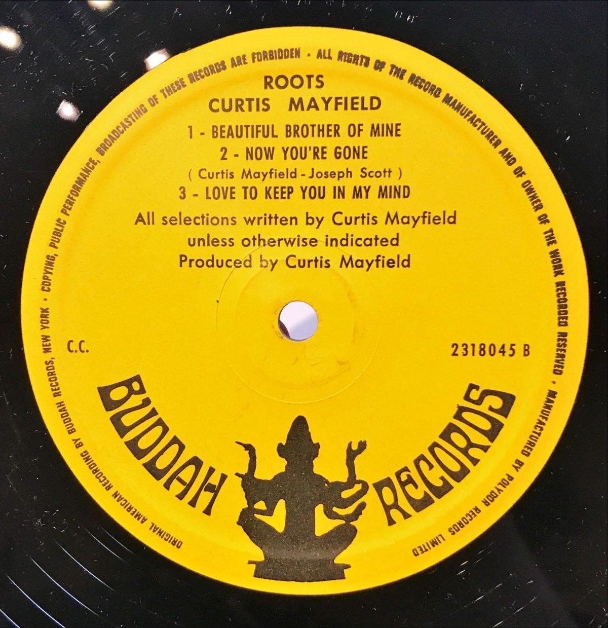 Curtis Mayfield ‎– Roots LP Plak - Görsel 3