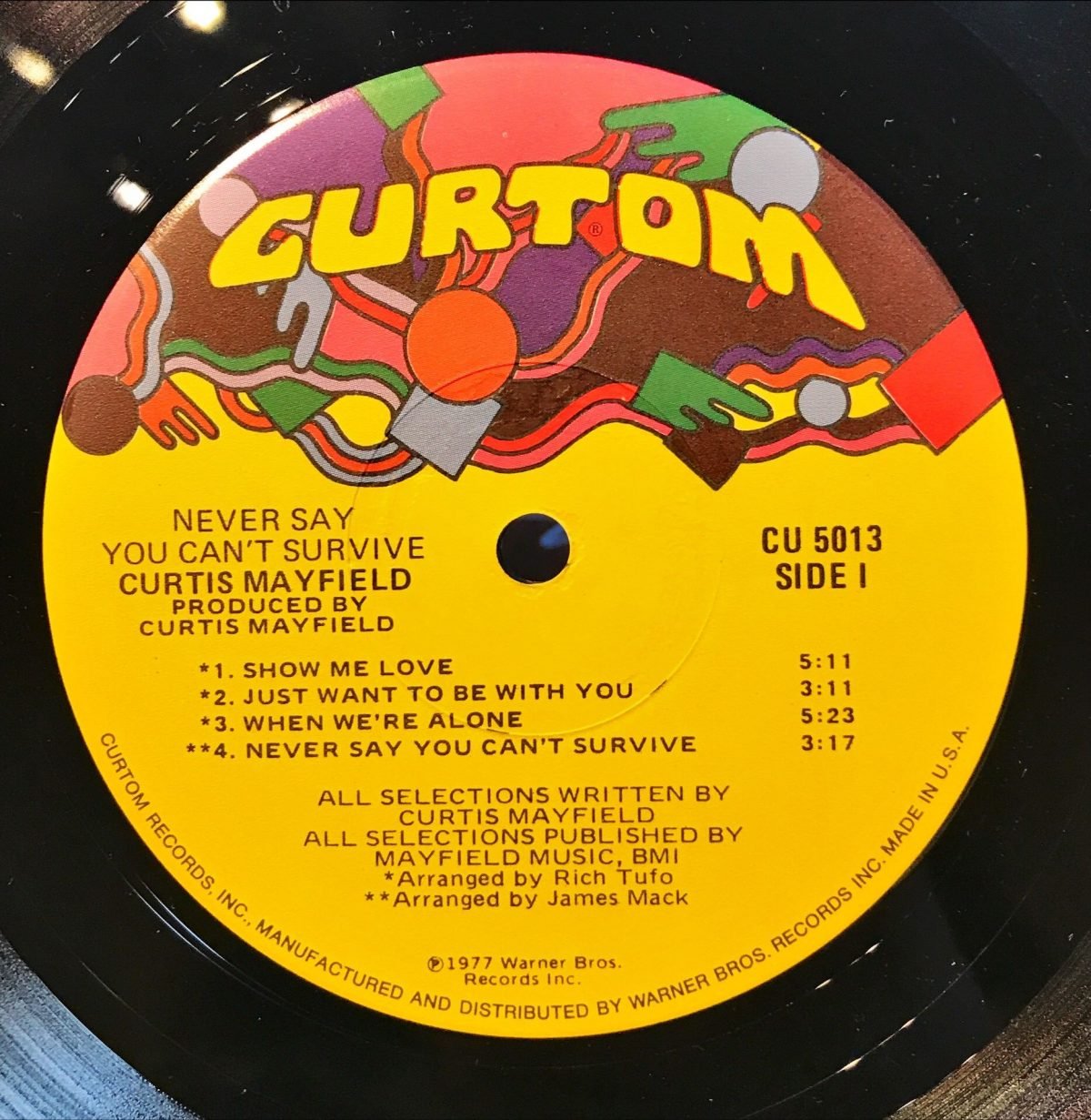 Curtis Mayfield ‎– Never Say You Can't Survive LP Plak - Görsel 2