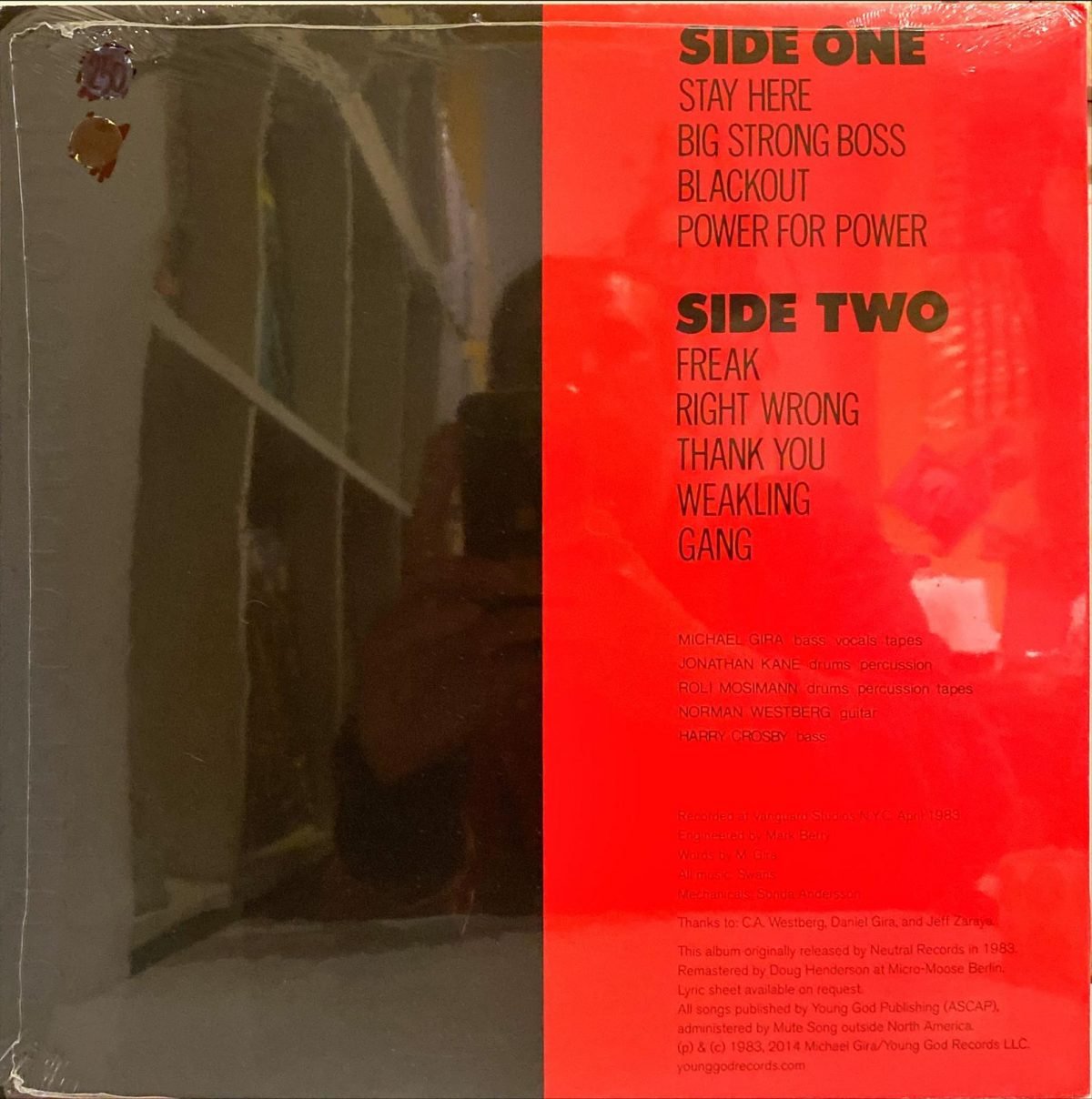 Swans ‎– Filth LP Plak - Görsel 2