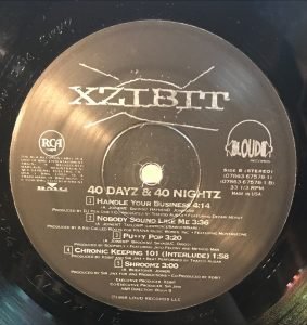 Xzibit ‎– 40 Dayz & 40 Nightz - 2LP Plak - Görsel 2