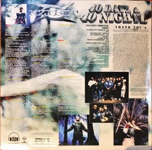 Xzibit ‎– 40 Dayz & 40 Nightz - 2LP Plak - Görsel 3