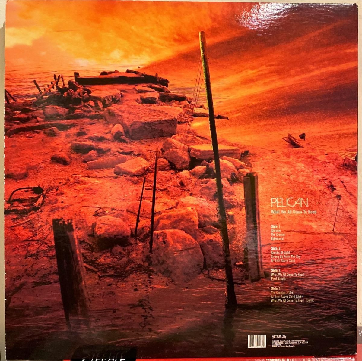 Pelican ‎– What We All Come To Need - 2LP Plak - Görsel 5