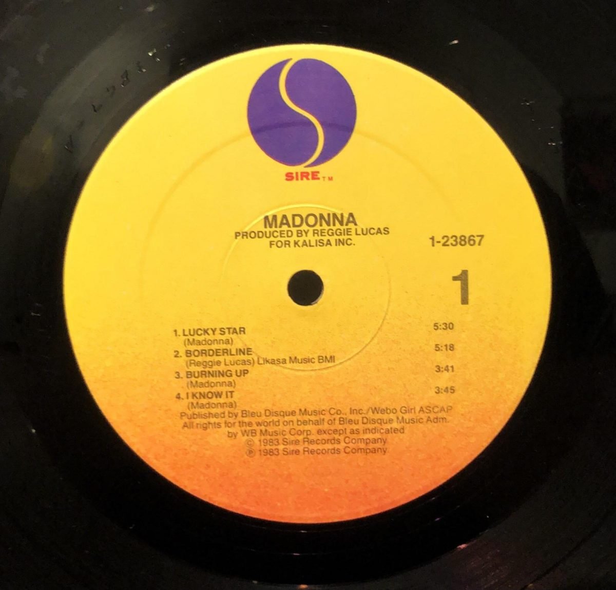Madonna ‎– Madonna LP Plak - Görsel 3