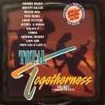 Total Togetherness Volume 4 LP Plak