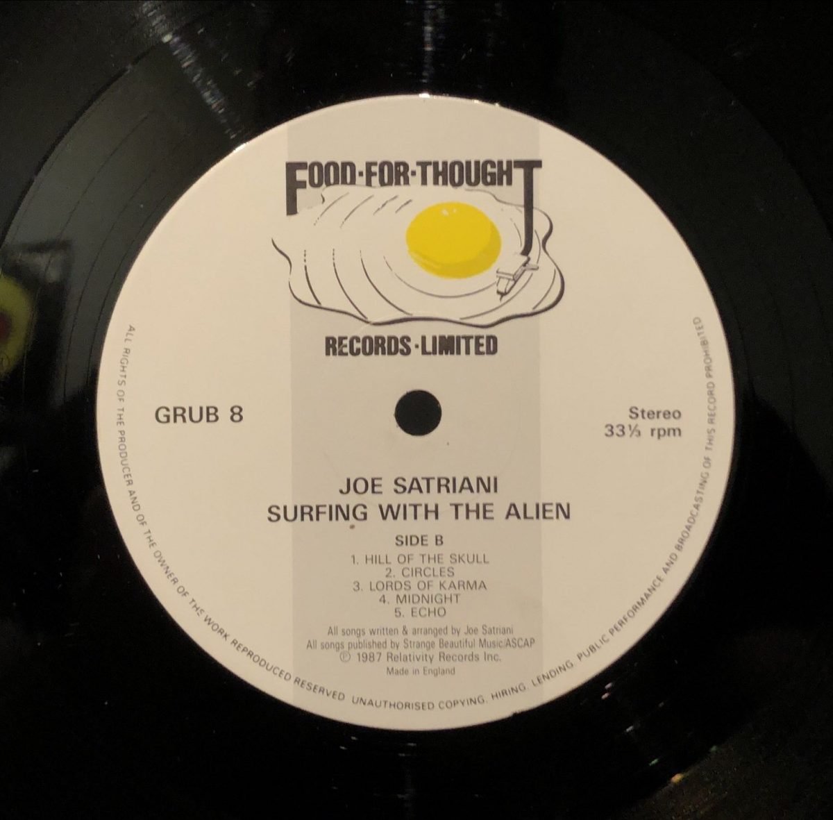 Joe Satriani ‎– Surfing With The Alien LP Plak - Görsel 2