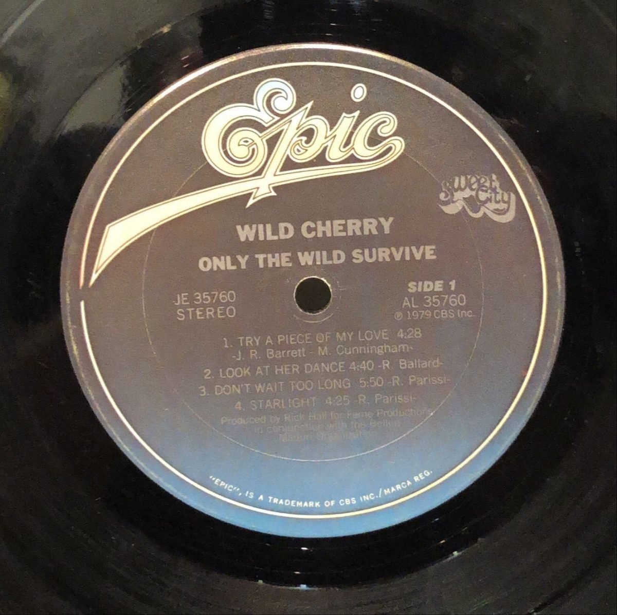 Wild Cherry ‎– Only The Wild Survive  LP Plak - Görsel 2
